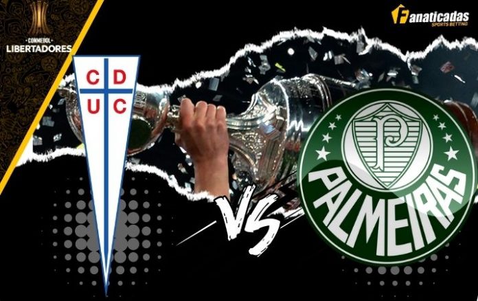 Copa Libertadores U. Católica vs. Palmeira Predicciones y Previa
