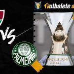 Pronosticos-Fluminense-vs.-Palmeira-del-Brasileirao-50823