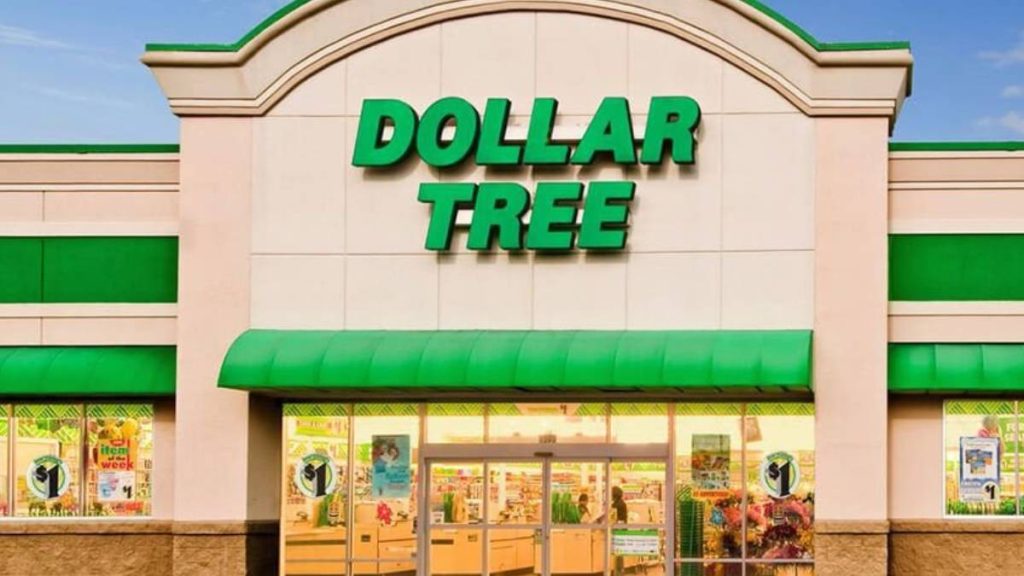 Si quieres adornar tu hogar con Dollar Tree, puedes darle un toque de lujo sin gastar mucho dinero: precios hasta $5