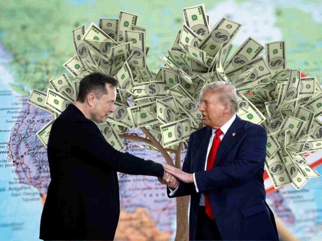 Cheque de Estímulo DOGE en Marzo