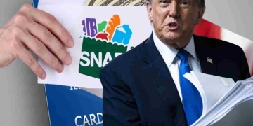 SNAP puede cancelar cheques en mayo por este motivo