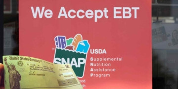 Cheque complementario de SNAP en este Estado