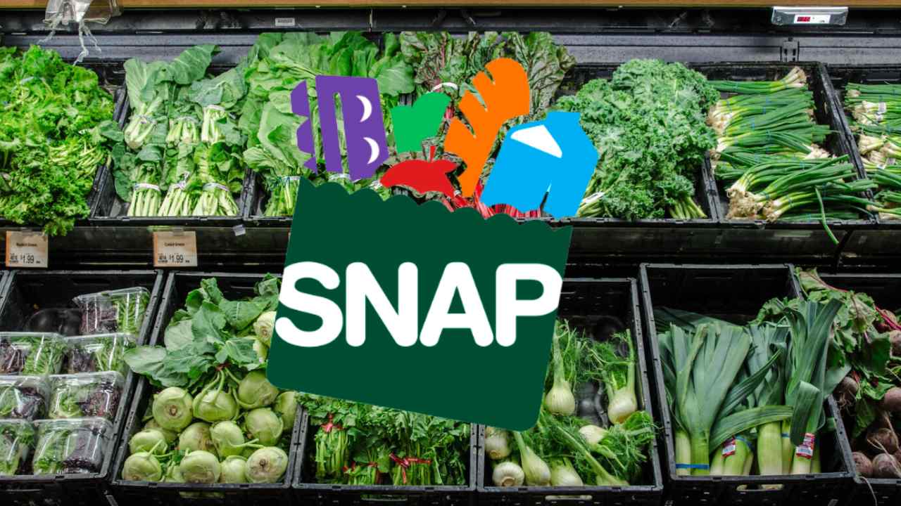 Cheque de SNAP en junio últimas fechas