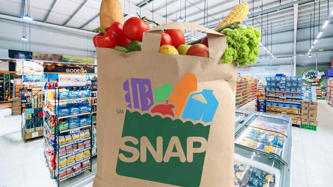 Cheques de SNAP en junio según Estado y tamaño de familia