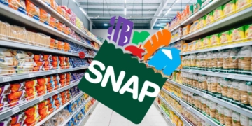 SNAP para familias numerosas en junio