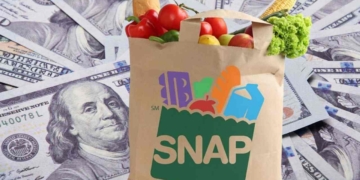 Fechas de cheque de ingreso SNAP en Maryland