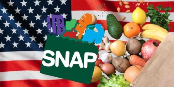 Fechas ingreso cheque de SNAP en Florida julio