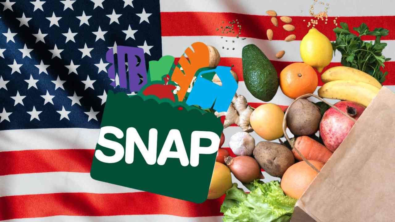 Fechas ingreso cheque de SNAP en Florida julio