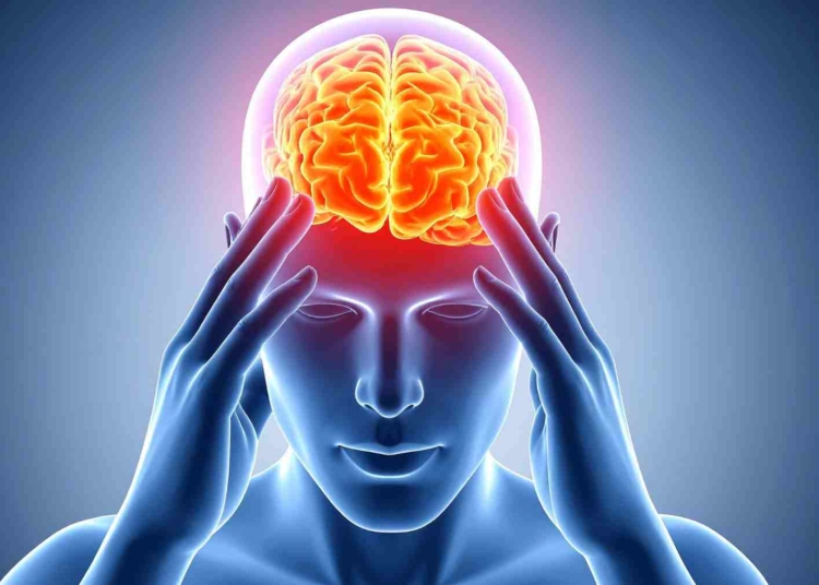 Cerebro guerra salud mental