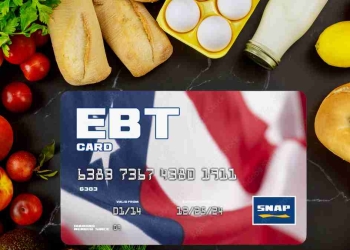 SNAP-Balance-at-a-Glance