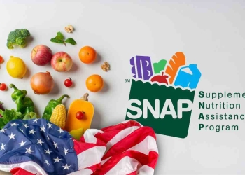 SNAP-Food-Stamps-benefits-USA