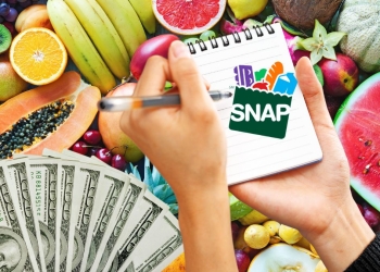 SNAP in December is underway