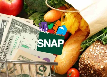 January 2025 SNAP Payment Schedule for Food Stamp Recipients