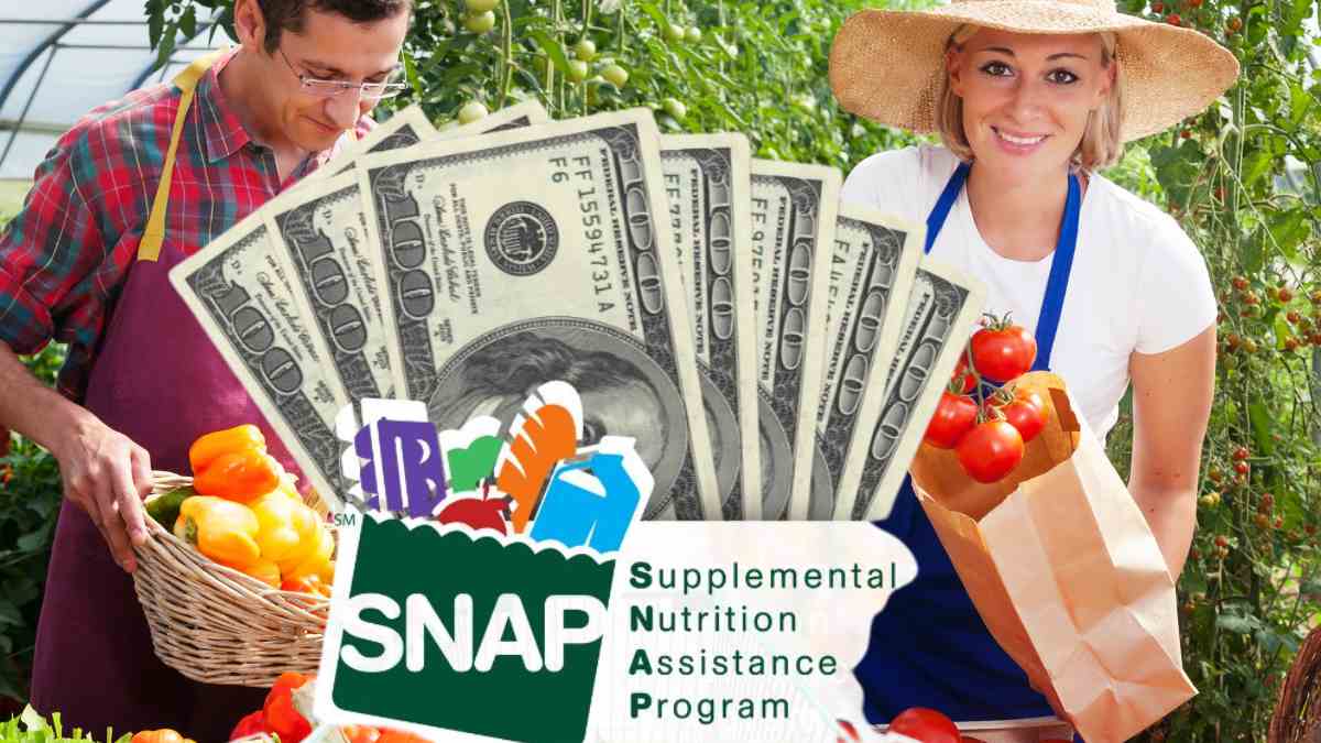 Largest SNAP payments in the United States in February