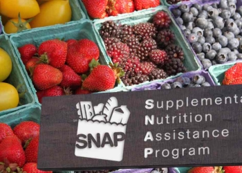 SNAP and the minimum payment amounts in 2025 in the United States