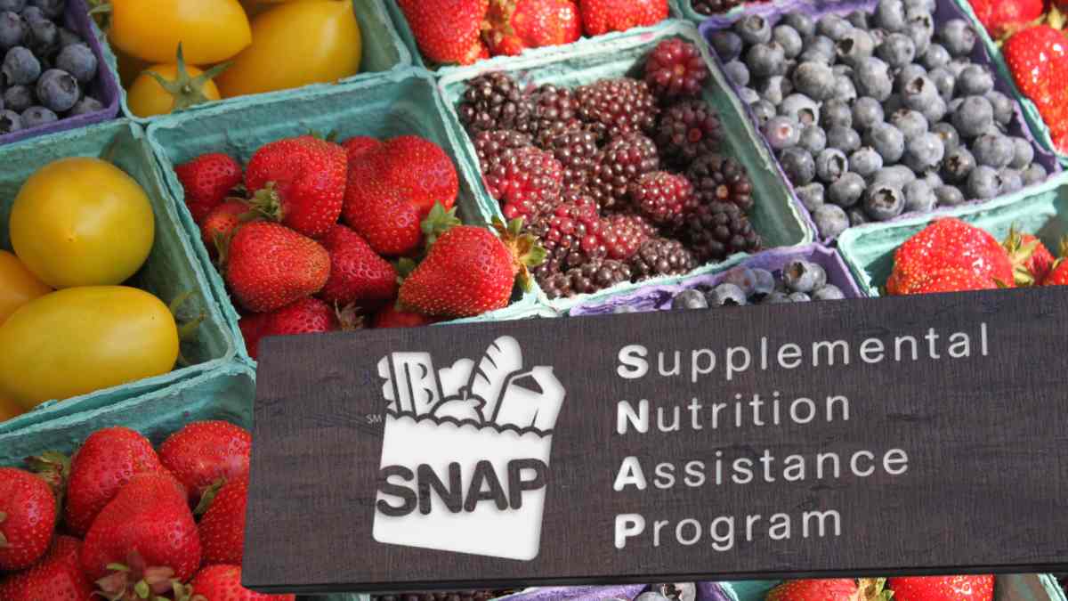 SNAP and the minimum payment amounts in 2025 in the United States