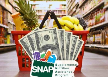 SNAP income and resources limits in 2025