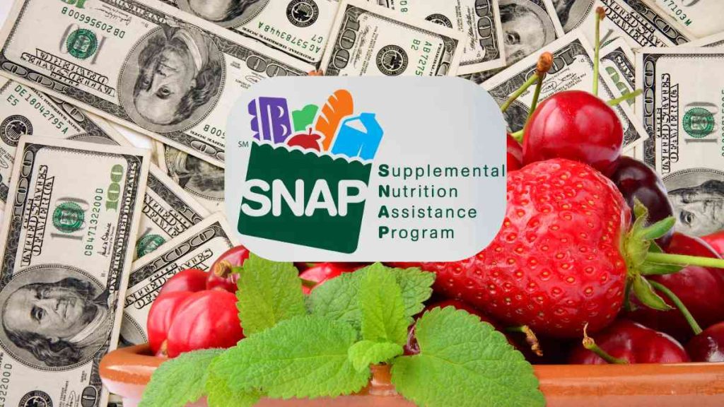 SNAP payments in February 2025 for Food Stamp recipients in the USA