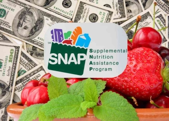 SNAP payments in February 2025 for Food Stamp recipients in the USA