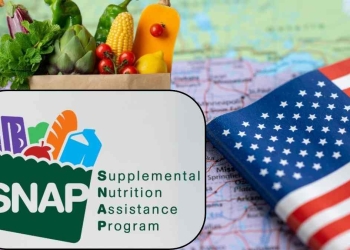 SNAP payments in New Mexico, Louisiana, West Virginia & Mississipi