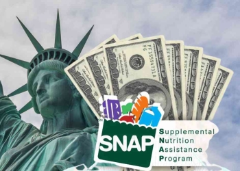 SNAP payments in New York State and other benefits in 2025