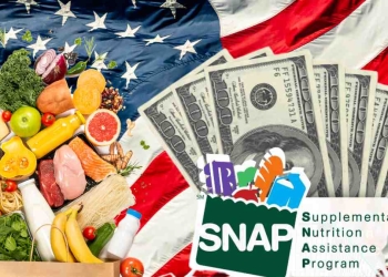 SNAP payments in the United States, Food Stamp in January