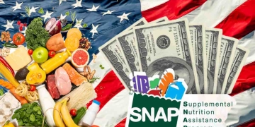 SNAP payments in the United States, Food Stamp in January