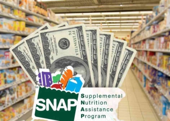 SNAP payments starting on February 1 confirmed by USDA