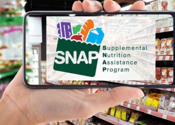 SNAP payments to these eligible recipients in Texas, Florida and more States