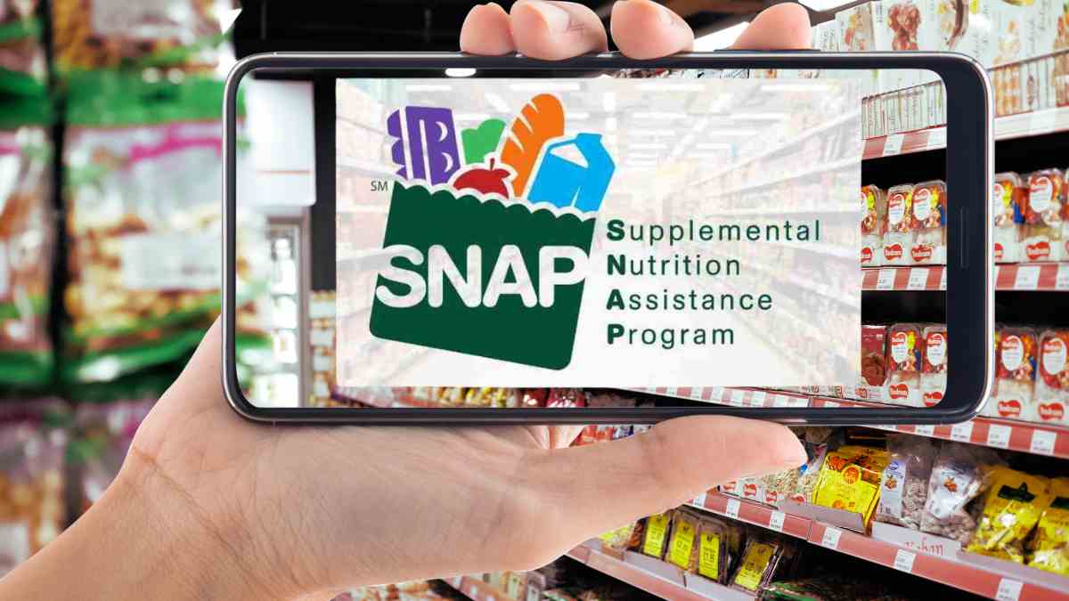 Find Out Who Gets up to $1,756 From SNAP Benefits in Florida This Month