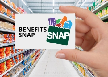 These States will issue all SNAP payments on February 1, checks of up to $292-$586