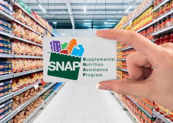 SNAP EBT Card Reload Dates for February 2025 by State