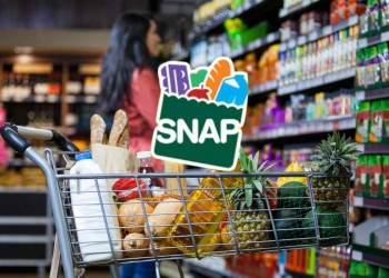 D-SNAP benefits in Disaster Area in March 2025