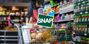 USDA Approves D-SNAP Benefits for Disaster Area - How to Apply D-SNAP benefits in Disaster Area in March 2025