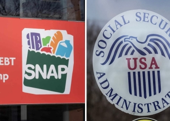 How to Combine SNAP and RSDI Benefits in 2025 to Boost Your Monthly Income