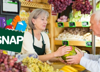 SNAP payments for 2 in March 2025 in the United States