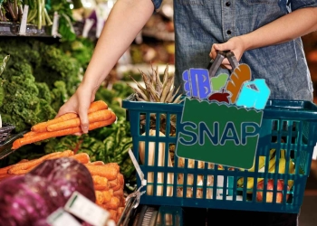 SNAP payments in the United States