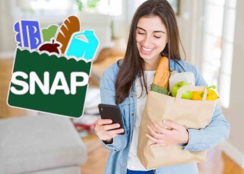 Check the SNAP payment in schedule in New York for May