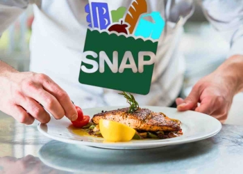SNAP benefit payments and hot meals in the United States