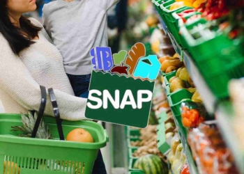 SNAP monthly payments from mid-April onward