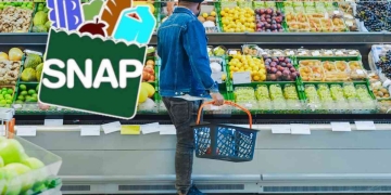 SNAP payment schedule in Florida with checks of up to $1,756