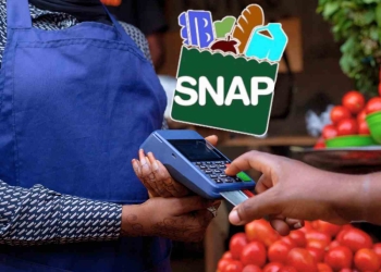 SNAP payments for 4 for the last days in April