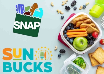 120 dollar payment from SUN Bucks is available in these States