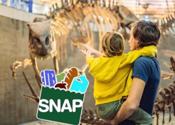 SNAP benefits can help you save money in summer
