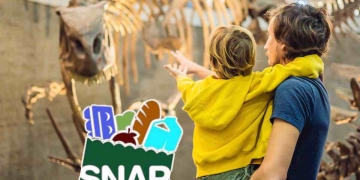 SNAP benefits can help you save money in summer