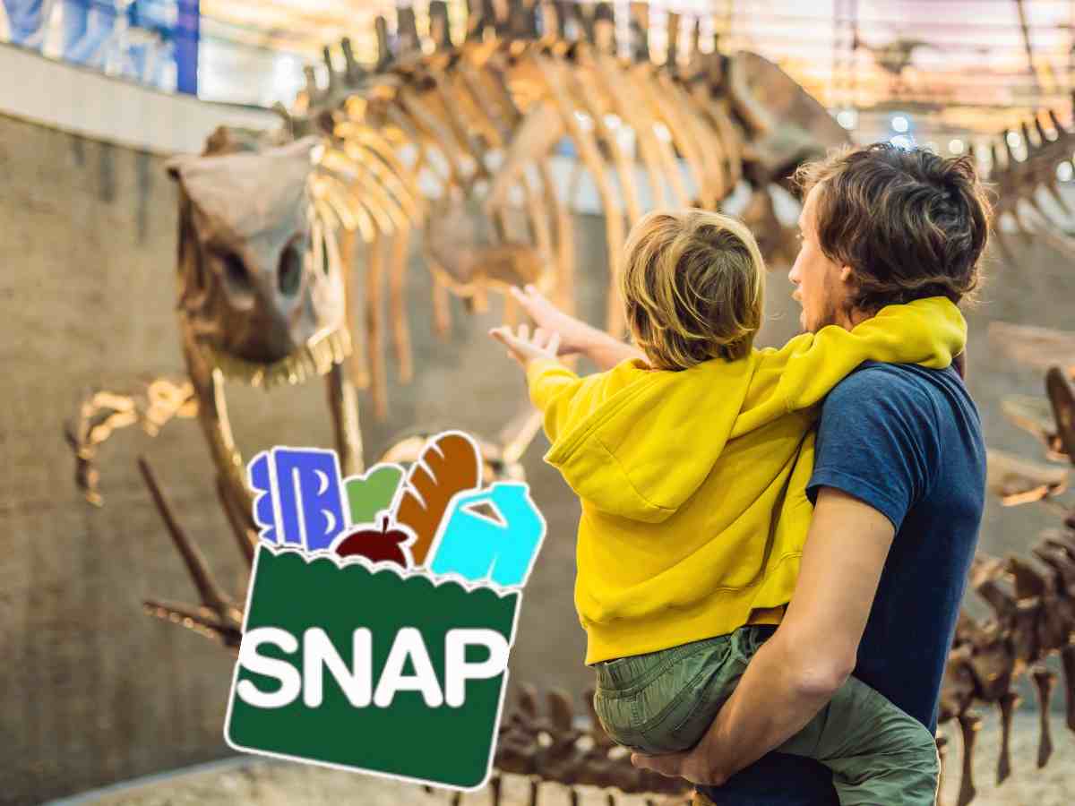 SNAP benefits can help you save money in summer