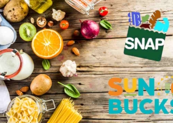 Getting SNAP benefits while receiving SUN Bucks in the U.S.