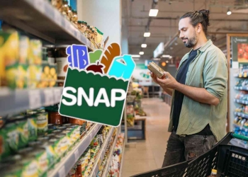 SNAP payments in Florida through May 28