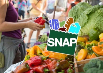 SNAP payments in May and June 2025 in the U.S.