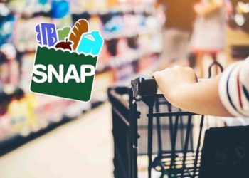 SNAP payments in New York in June 2025